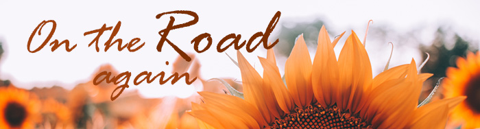 pageheader-roadagain700.jpg pageheader-roadagain700.jpg